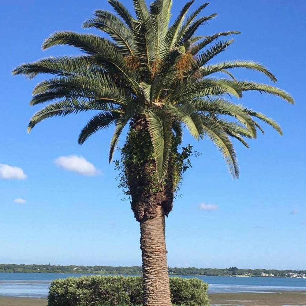 Meet your Posher, Kathryn